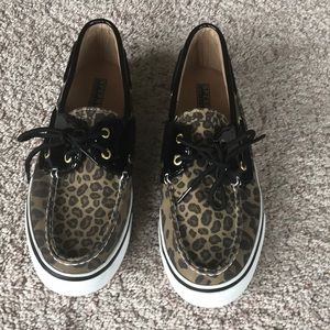 leopard/cheetah sperrys